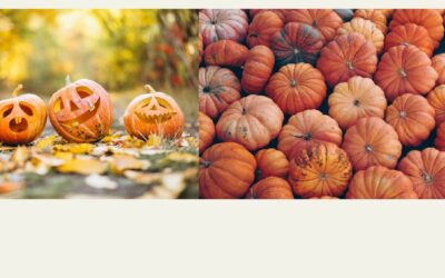 Halloween et Ayurveda : nourrir votre corps avec des aliments de saison